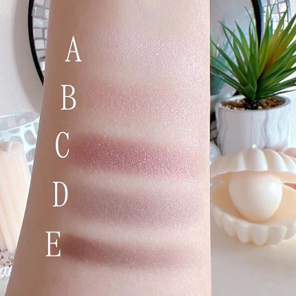 パノラマデザイン アイパレット/Visée/アイシャドウパレットを使ったクチコミ(4枚目)