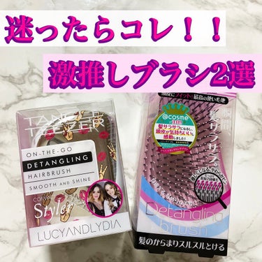 コンパクトスタイラー/TANGLE TEEZER/ヘアブラシを使ったクチコミ（1枚目）