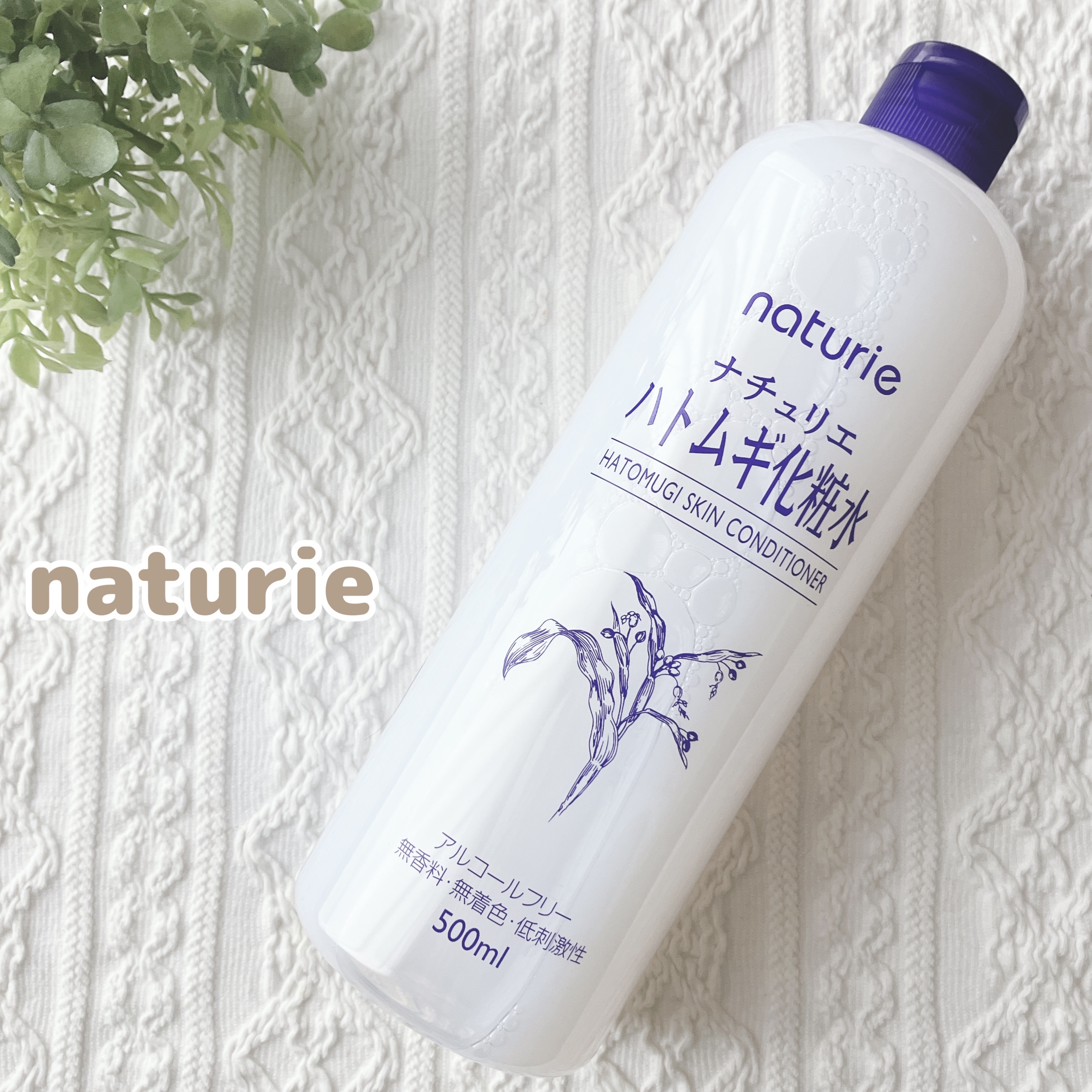 ハトムギ化粧水(ナチュリエ スキンコンディショナー R )/ナチュリエ/化粧水を使ったクチコミ（1枚目）