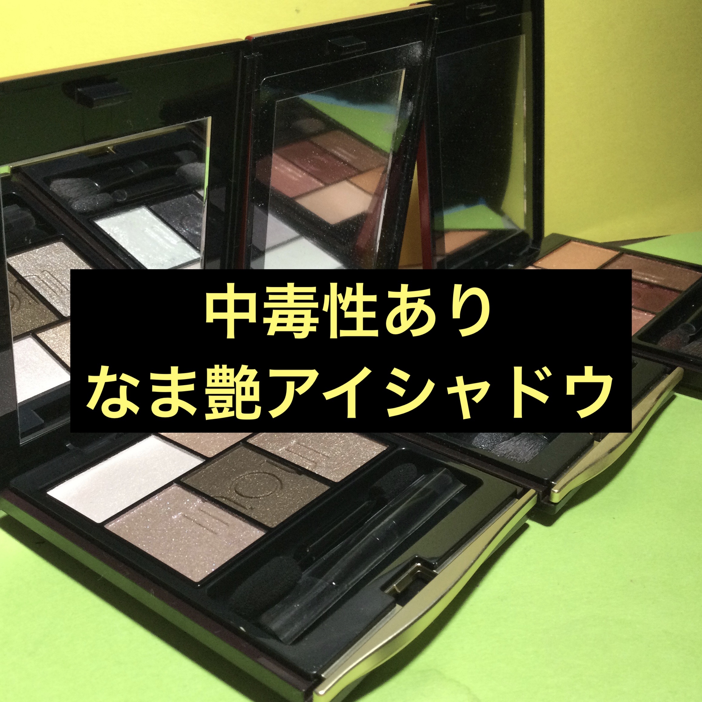 インウイ アイズ/INOUI/アイシャドウパレットを使ったクチコミ（1枚目）