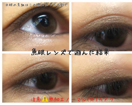 スキニーリッチシャドウ/excel/アイシャドウパレットを使ったクチコミ(3枚目)