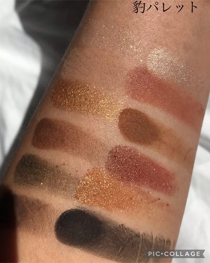 エクスプローラ12色 動物アイシャドウパレット 豹/PERFECT DIARY/アイシャドウパレットを使ったクチコミ(3枚目)