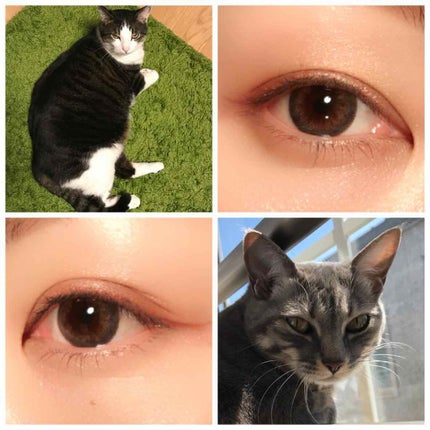 LARME MERMAIDSERIES(ラルムマーメイドシリーズ)/LARME/カラーコンタクトレンズを使ったクチコミ(1枚目)