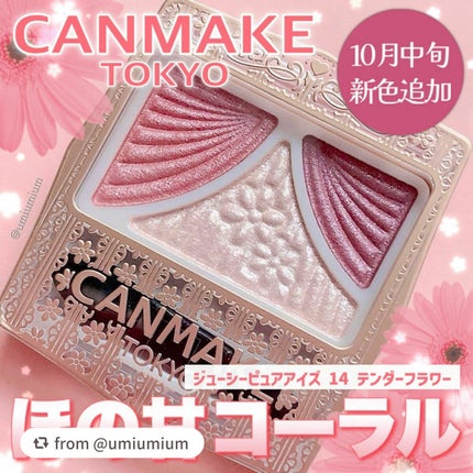 ジューシーピュアアイズ/キャンメイク/アイシャドウパレットを使ったクチコミ(1枚目)