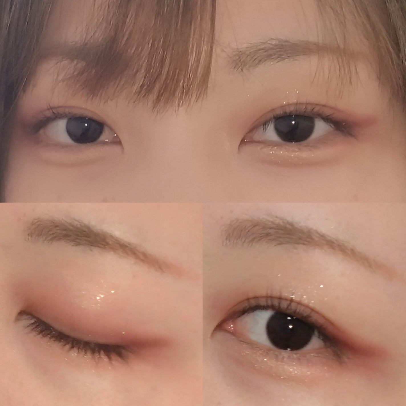 エクスプローラ12色 動物アイシャドウパレット/PERFECT DIARY/アイシャドウパレットを使ったクチコミ(4枚目)