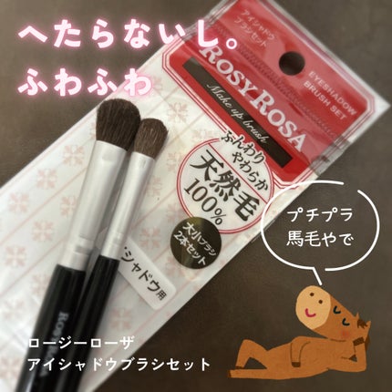 アイシャドウブラシセット/ロージーローザ/メイクブラシを使ったクチコミ(1枚目)