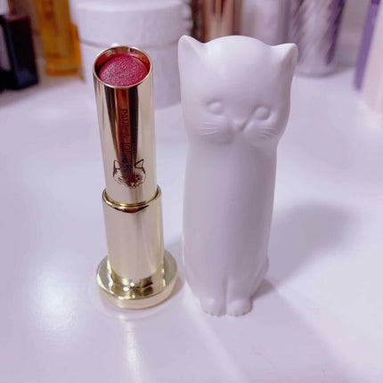 リップスティック ケース N/PAUL & JOE BEAUTE/その他化粧小物を使ったクチコミ(1枚目)