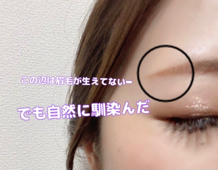 眉ティントSVR/Fujiko/眉ティントを使ったクチコミ(3枚目)