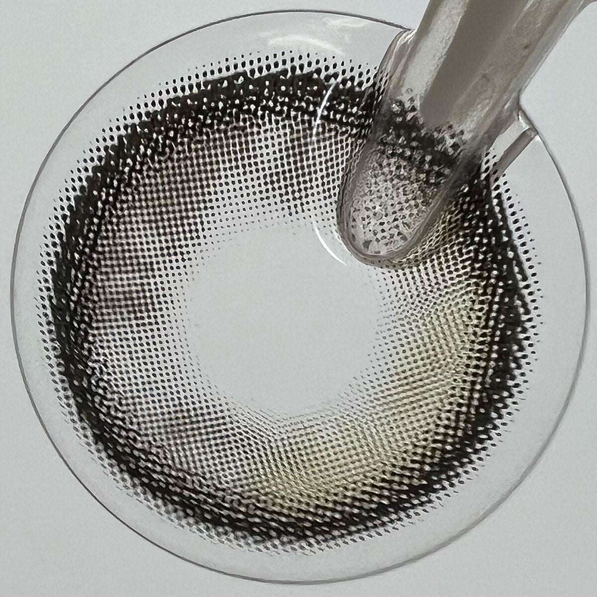 Secretive Kristen/Hapa kristin/カラーコンタクトレンズを使ったクチコミ(5枚目)