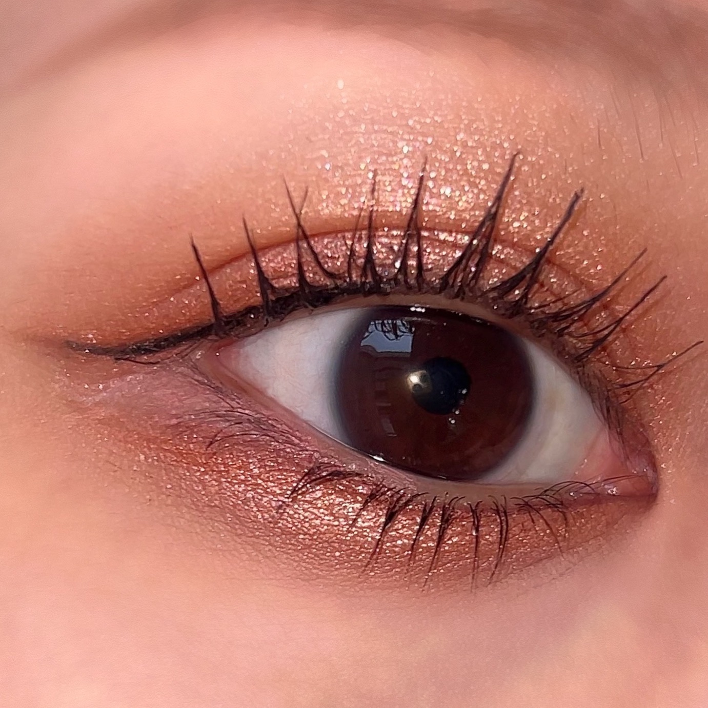 クロマティックス クワッド/shu uemura/アイシャドウパレットを使ったクチコミ（2枚目）