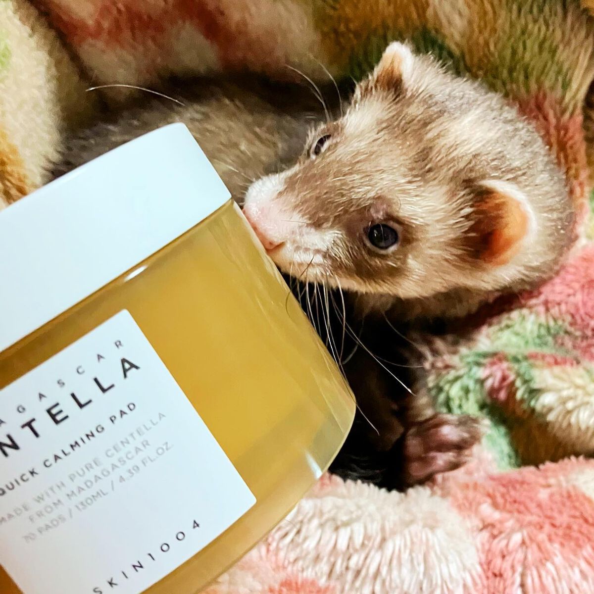 センテラ クイックカーミングパッド/SKIN1004/トナーパッドを使ったクチコミ（2枚目）