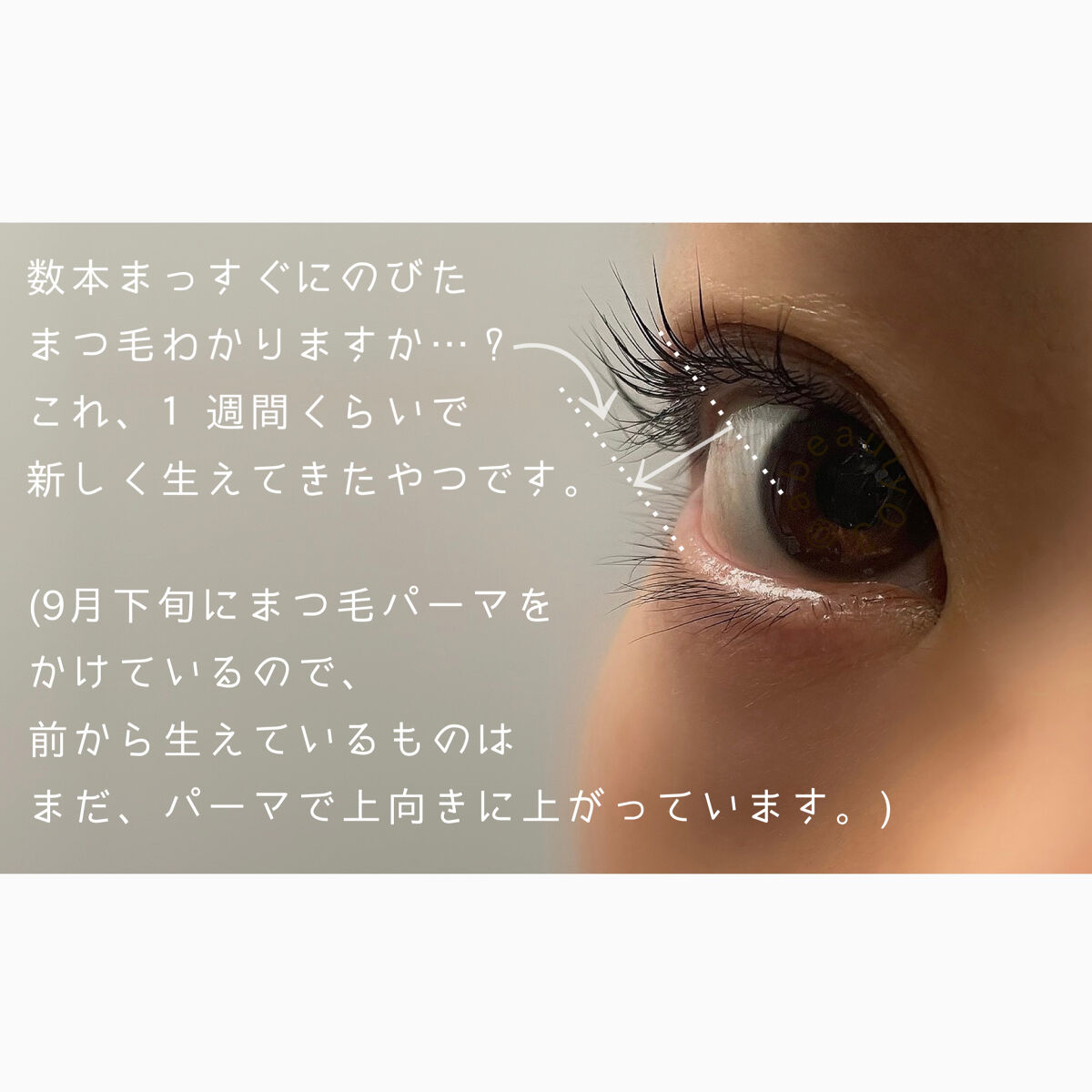 ラッシュアディクト アイラッシュコンディショニングセラム