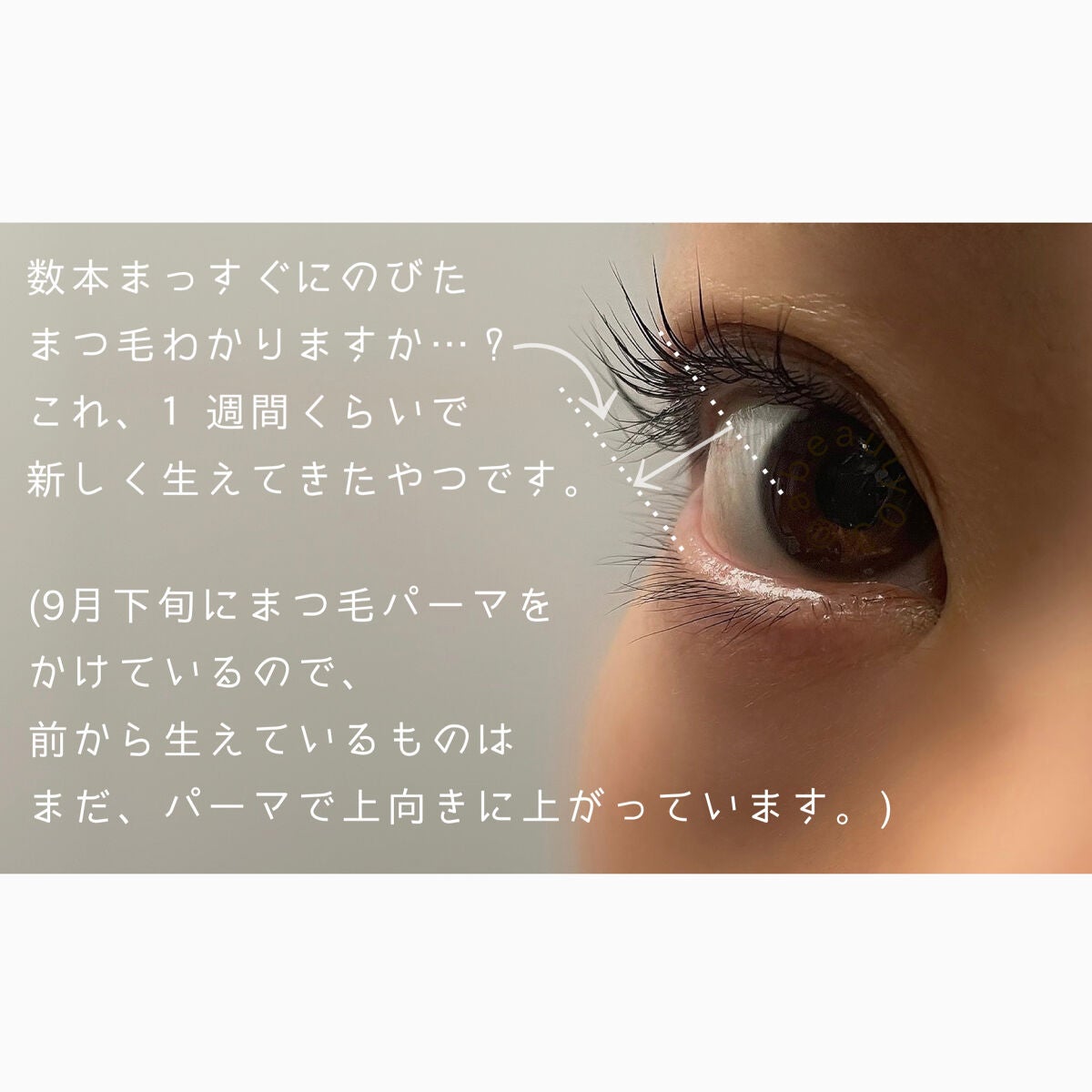 ラッシュアディクト アイラッシュコンディショニングセラム/soaddicted/まつげ美容液を使ったクチコミ(2枚目)