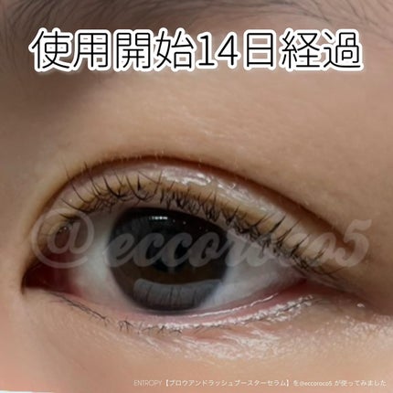 ブロウアンドラッシュブースターセラム/ENTROPY/マスカラを使ったクチコミ(3枚目)