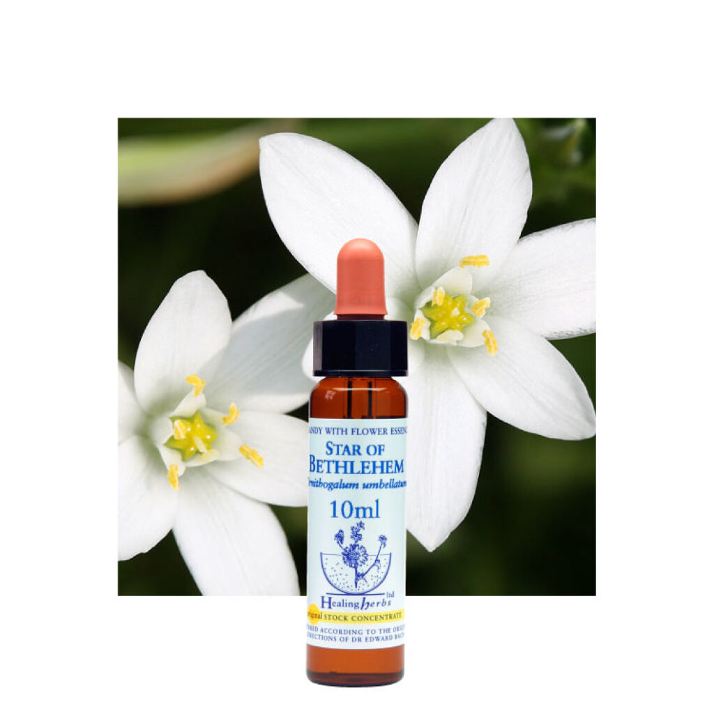 ヒーリングハーブフラワーエッセンス スターオブべツレヘム