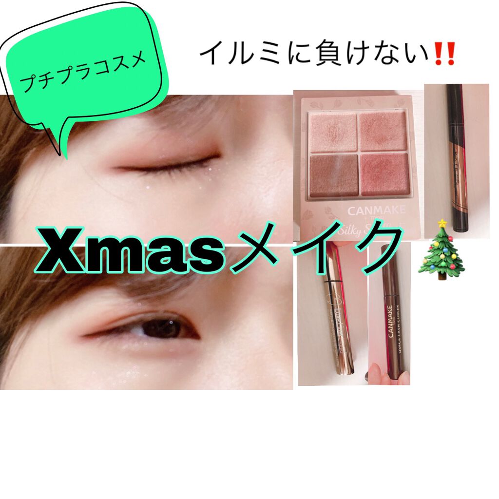 シルキースフレアイズ（マットタイプ）/キャンメイク/アイシャドウパレットを使ったクチコミ（1枚目）