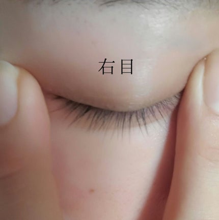 ラッシュジェリードロップ EX/MAJOLICA MAJORCA/まつげ美容液を使ったクチコミ(3枚目)