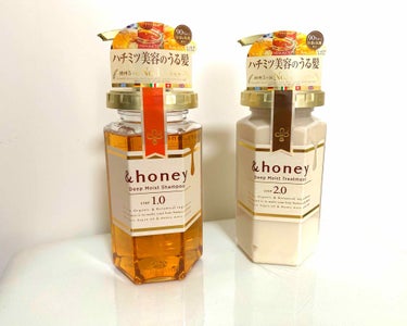 ディープモイスト シャンプー1.0／ヘアトリートメント2.0/&honey/シャンプー・コンディショナーを使ったクチコミ（1枚目）