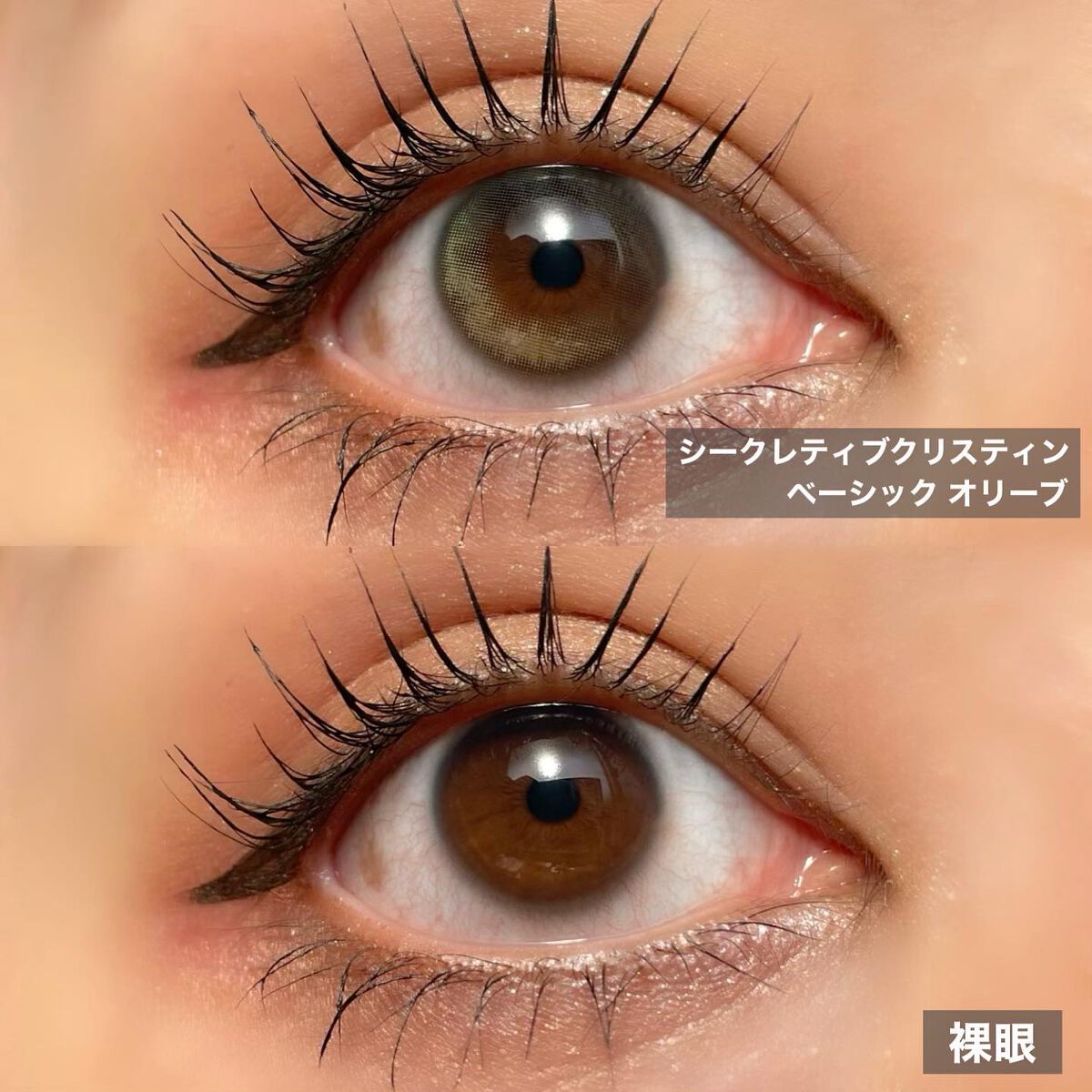 Secretive Kristen/Hapa kristin/カラーコンタクトレンズを使ったクチコミ（3枚目）