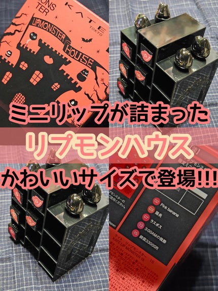 ケイト リプモンハウス限定セット/KATE/その他キットセットを使ったクチコミ(1枚目)