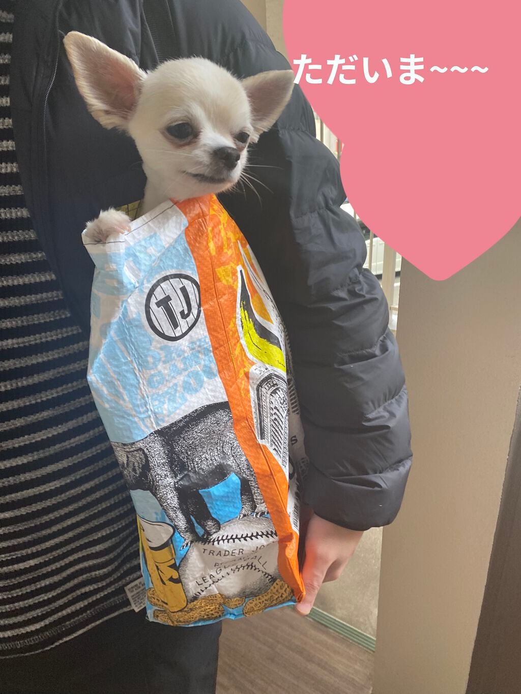 ロング&カールマスカラ アドバンストフィルム/ヒロインメイク/マスカラを使ったクチコミ(6枚目)