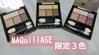 MAQuillAGE
ドラマティックスタイリングアイズ
限定カラー３色

８月21日に発売していたマキアージュのアイシャドウを遅くなりましたが購入しました☺️

最初の見た目ではBR601のブルーベリー