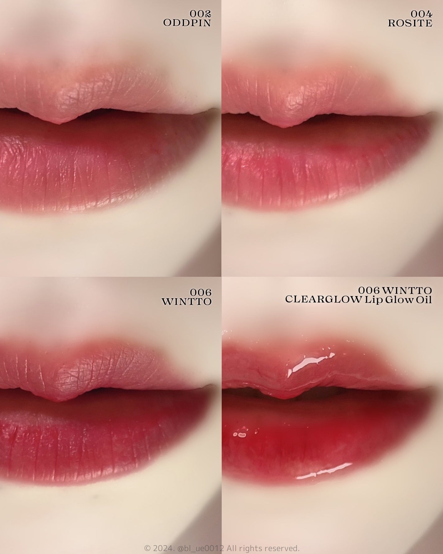 リップティーク/oiad/口紅を使ったクチコミ(4枚目)