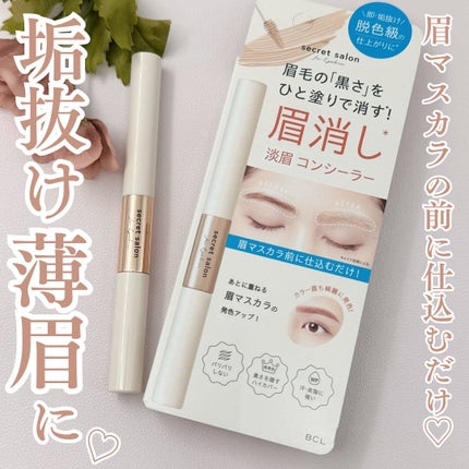 淡眉コンシーラー/シークレットサロン/眉マスカラを使ったクチコミ(1枚目)