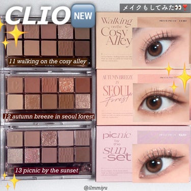 プロ アイ パレット/CLIO/アイシャドウパレットを使ったクチコミ（1枚目）