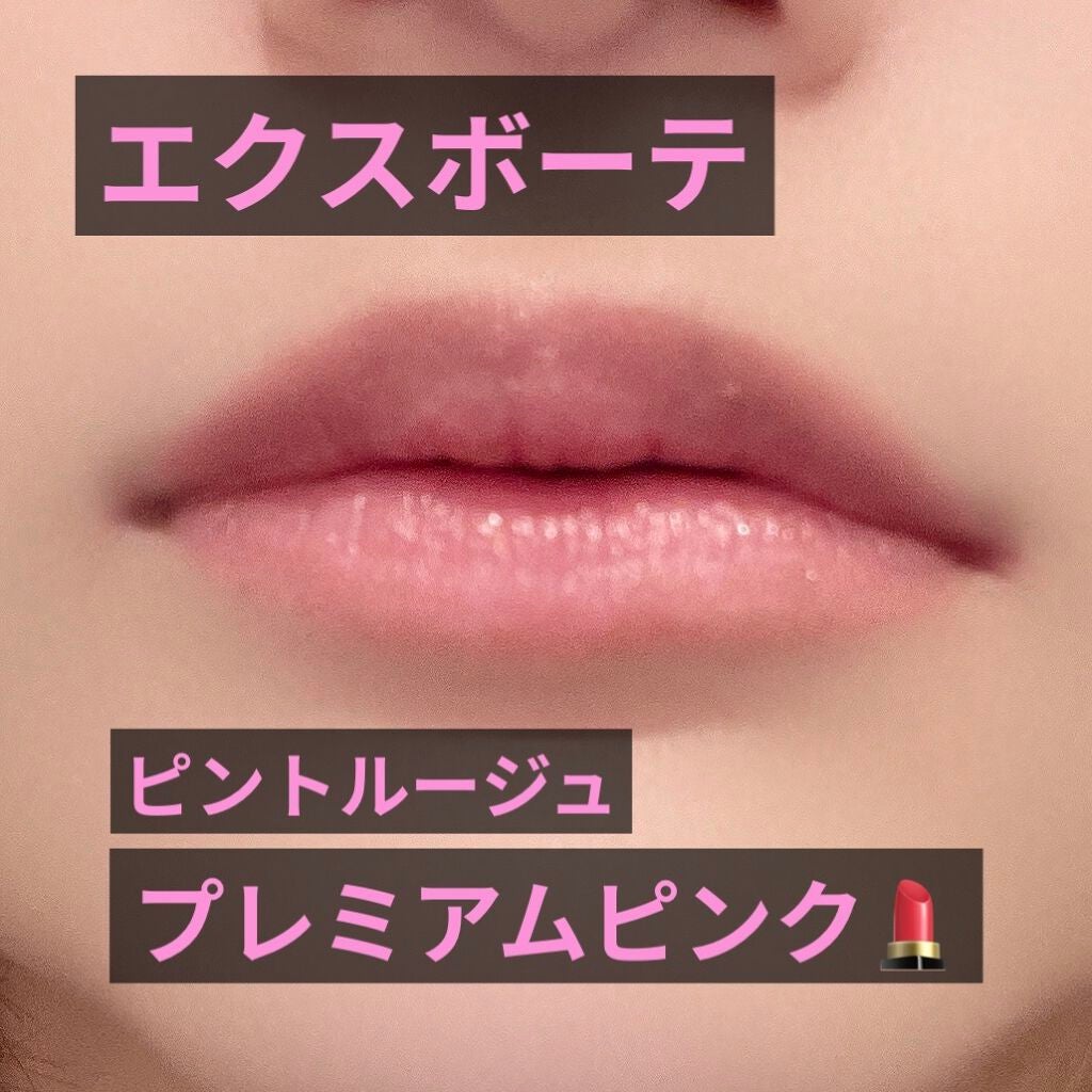 エクスアーティスト ピントルージュ/エクスボーテ/口紅を使ったクチコミ(1枚目)