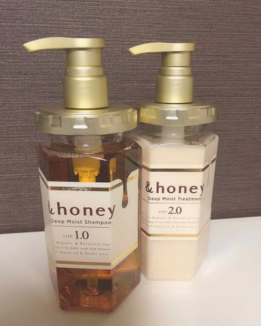 ディープモイスト シャンプー1.0／ヘアトリートメント2.0/&honey/シャンプー・コンディショナーを使ったクチコミ（1枚目）