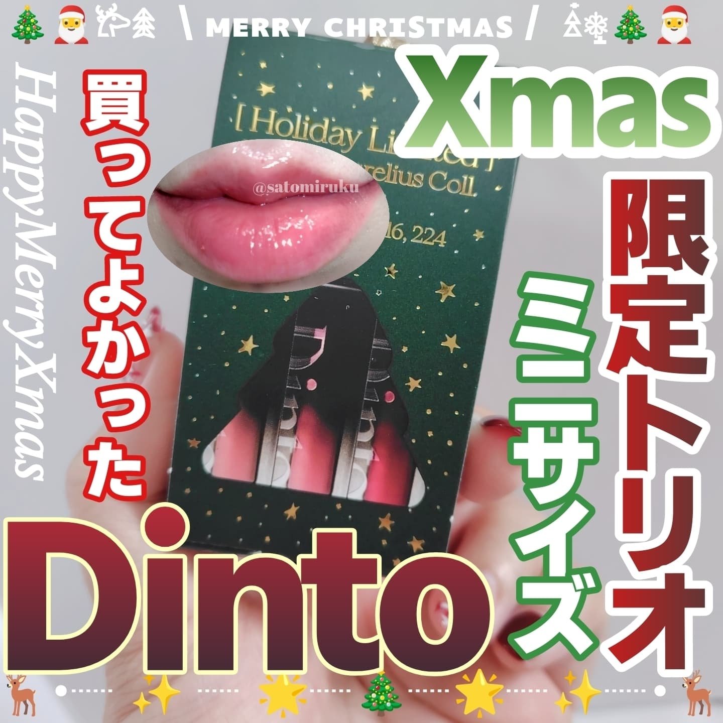 ミニリップトリオブラーグローイリップティント/Dinto/リップティントを使ったクチコミ（1枚目）