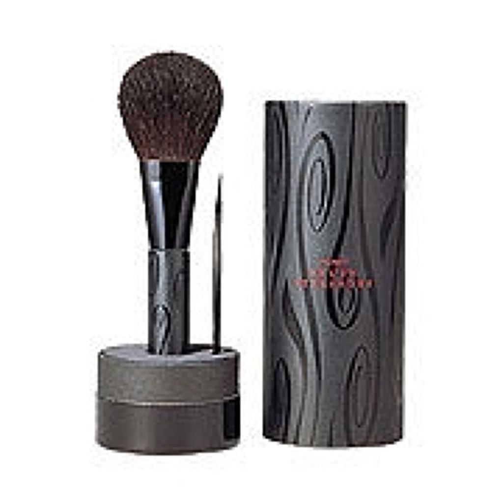 SHISEIDO ブラッシュ エトランドル