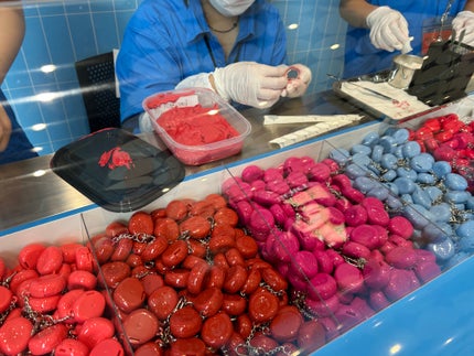 リップアンドチーク ブラーリープリンポット/fwee/口紅を使ったクチコミ(8枚目)