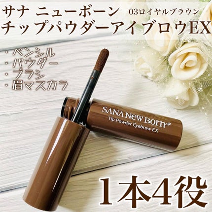 チップパウダーアイブロウEX/サナ ニューボーン/アイブロウペンシルを使ったクチコミ(1枚目)
