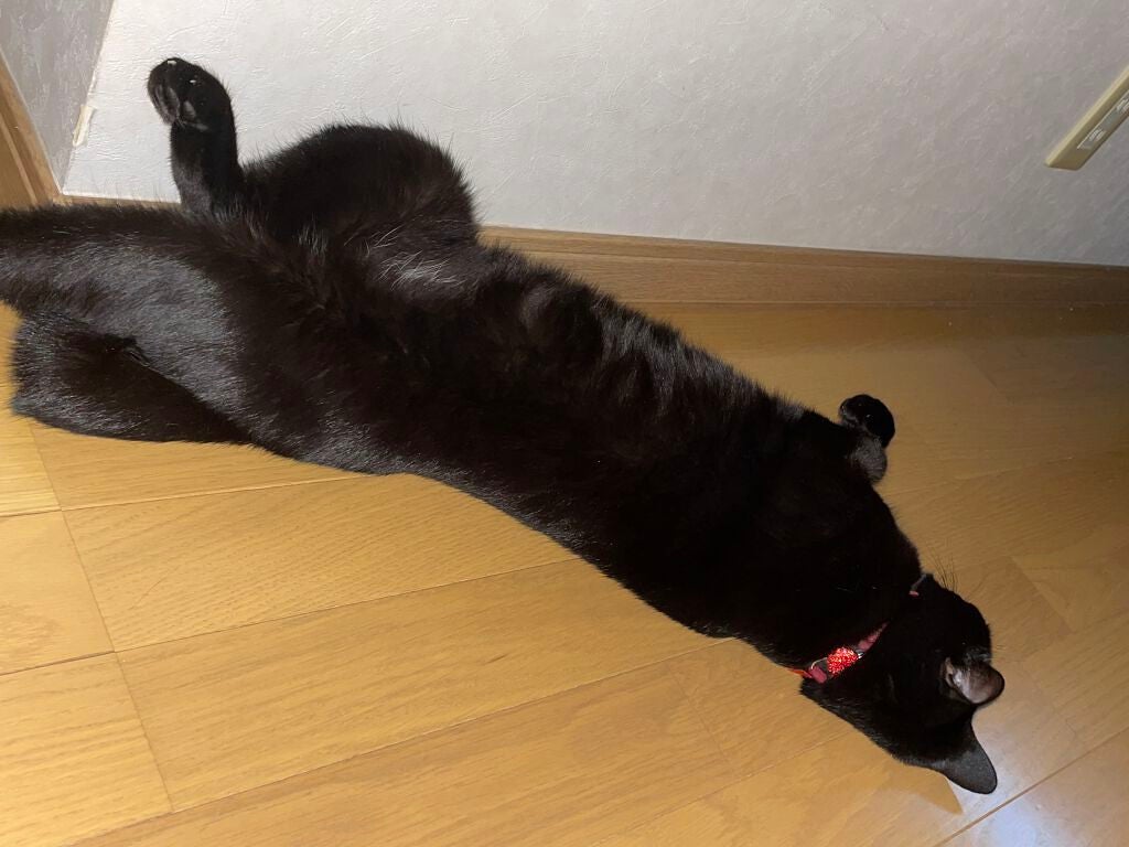 ððððð on LIPS ã..ãïŒ3æç®ïŒ