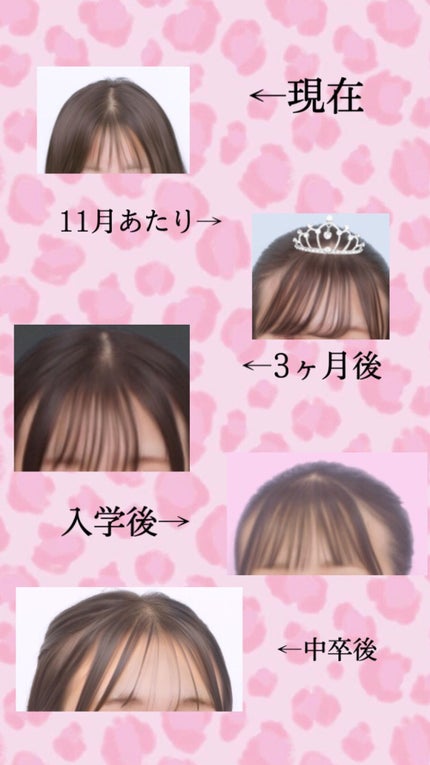 を使ったクチコミ(3枚目)