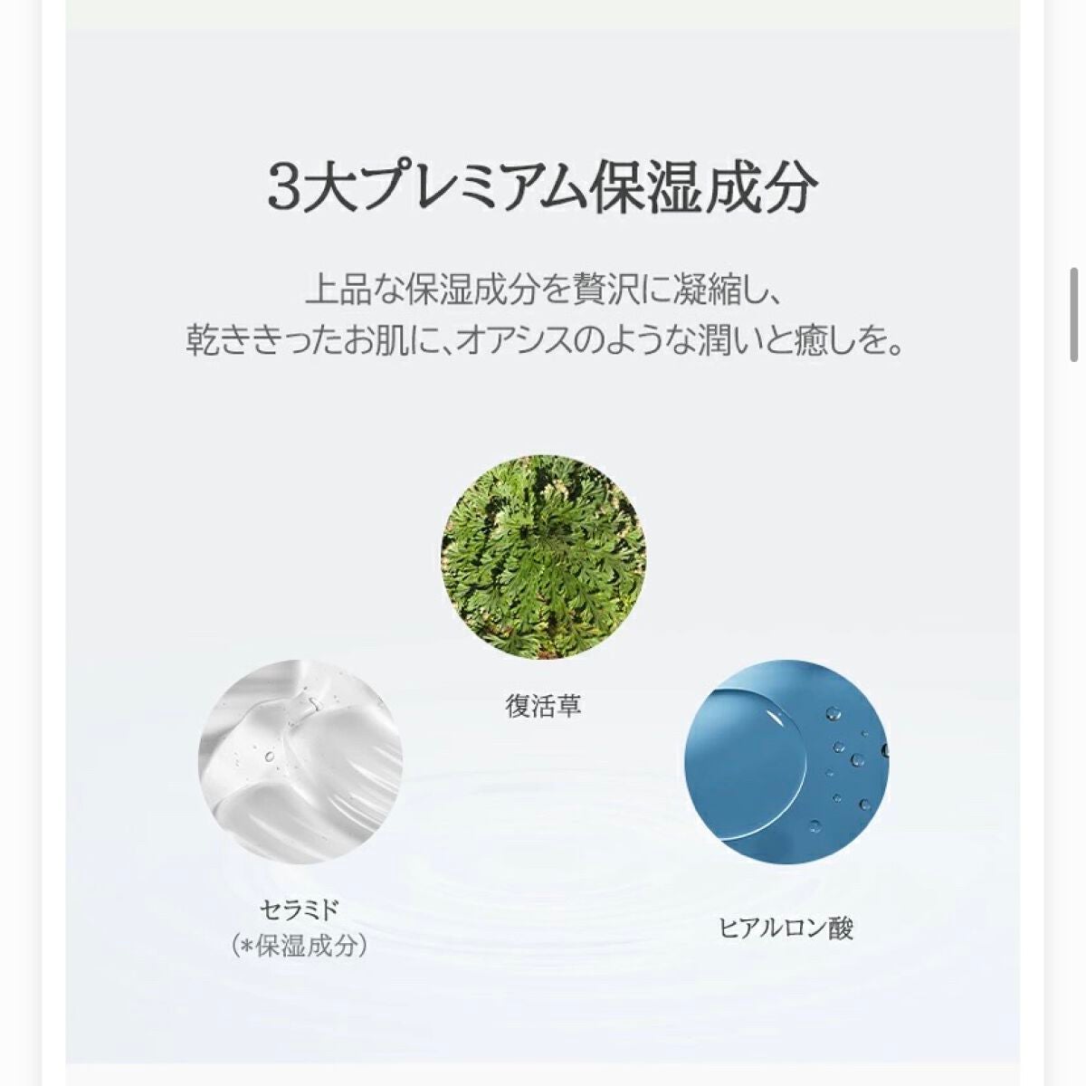 オアシス スージング マスク/Dr.Althea/シートマスク・パックを使ったクチコミ(4枚目)