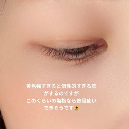 フーミー アイシャドウパレット/WHOMEE/アイシャドウパレットを使ったクチコミ(3枚目)