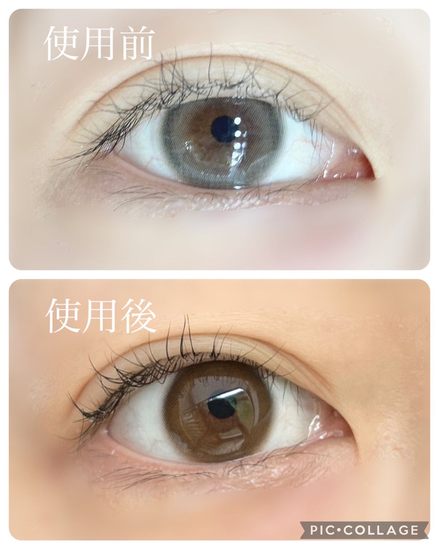 アイラッシュセラム/BASATTO/まつげ美容液を使ったクチコミ(3枚目)