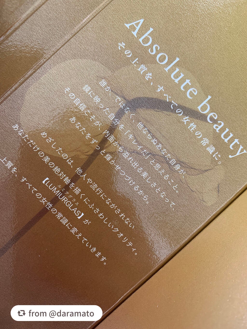 スキルレスライナー/LUMIURGLAS/リキッドアイライナーを使ったクチコミ(4枚目)