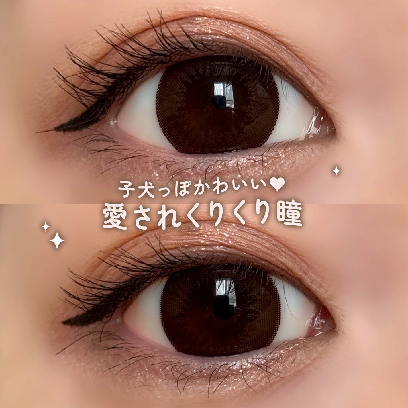 エバーカラーワンデー ナチュラル/エバーカラー/ワンデー(1DAY)カラコンを使ったクチコミ(2枚目)