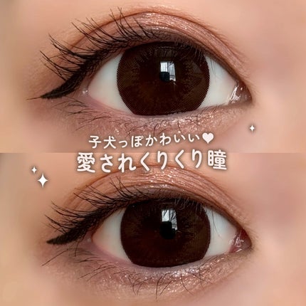 エバーカラーワンデー ナチュラル/エバーカラー/ワンデー(1DAY)カラコンを使ったクチコミ(2枚目)