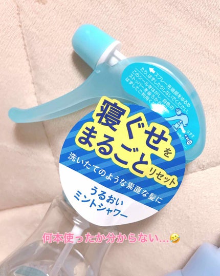 うるおいミントシャワー/リーゼ/プレスタイリング・寝ぐせ直しを使ったクチコミ(2枚目)