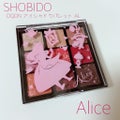 SHOBIDODQDN アイシャドウパレット AL