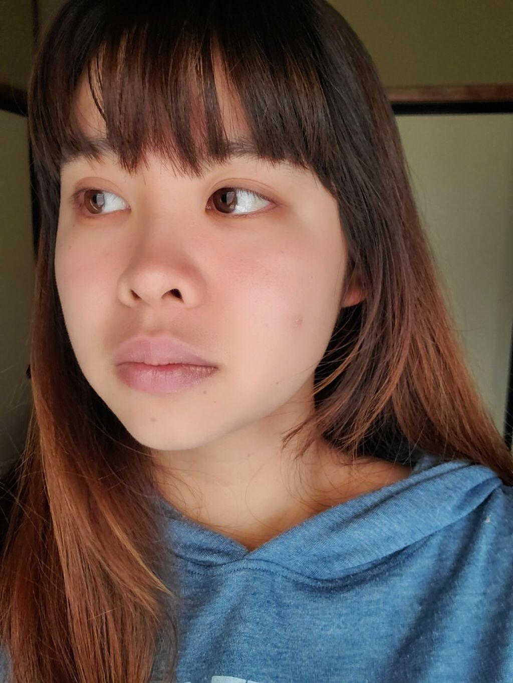 フェース コントロール カラー/CEZANNE/プレストパウダーを使ったクチコミ(4枚目)