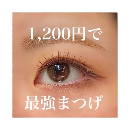 アイラッシュバリューパック/ビューティーネイラー/その他を使ったクチコミ(1枚目)