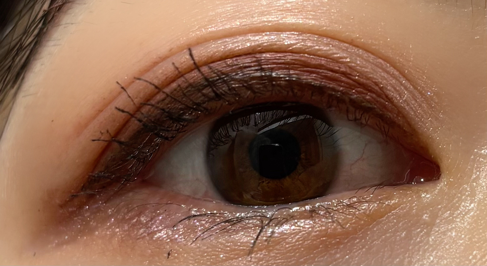 トーンアップアイシャドウ/CEZANNE/アイシャドウパレットを使ったクチコミ（3枚目）