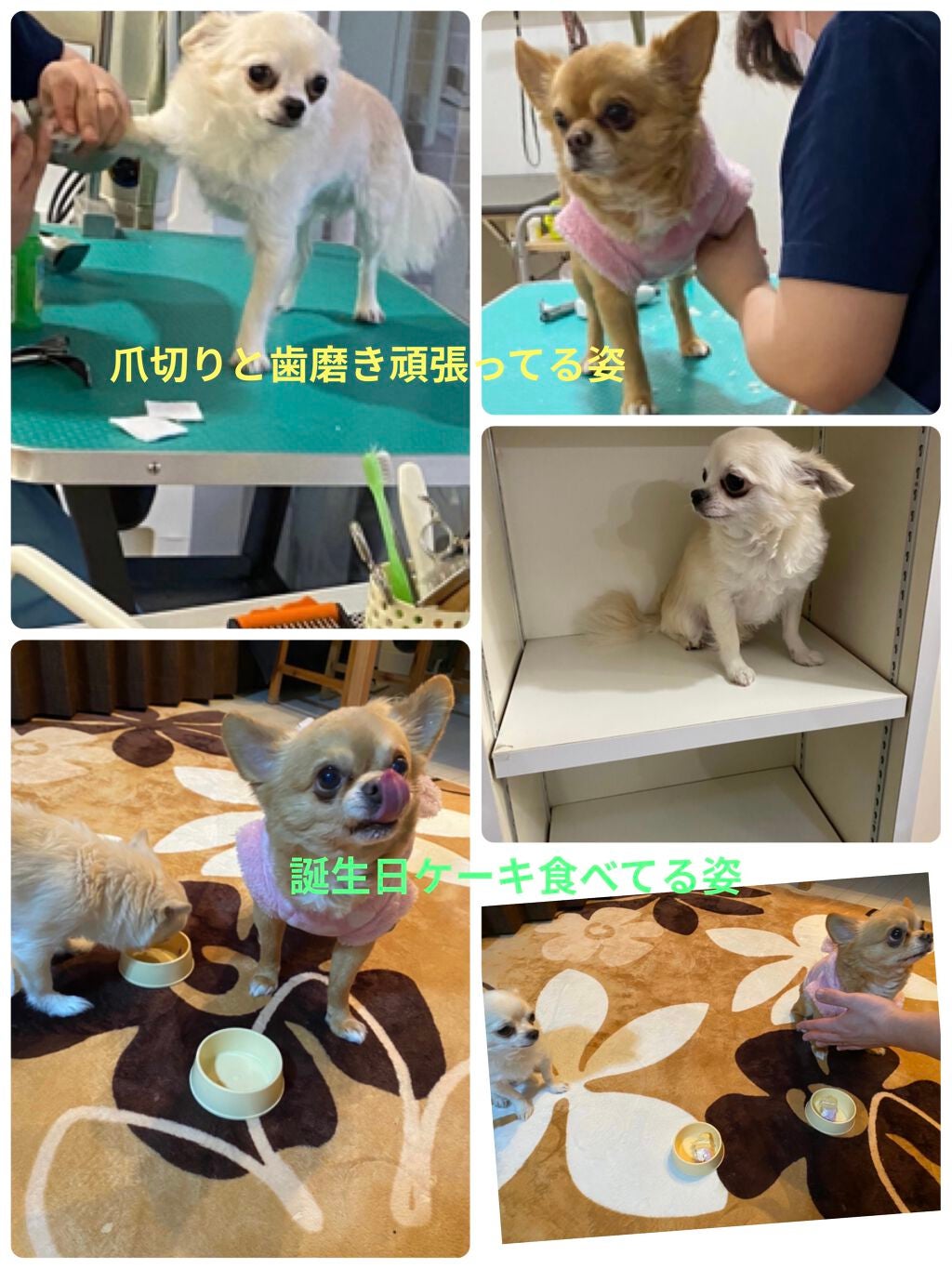 瀬戸内ルルルン(レモンの香り)/ルルルン/シートマスク・パックを使ったクチコミ(10枚目)