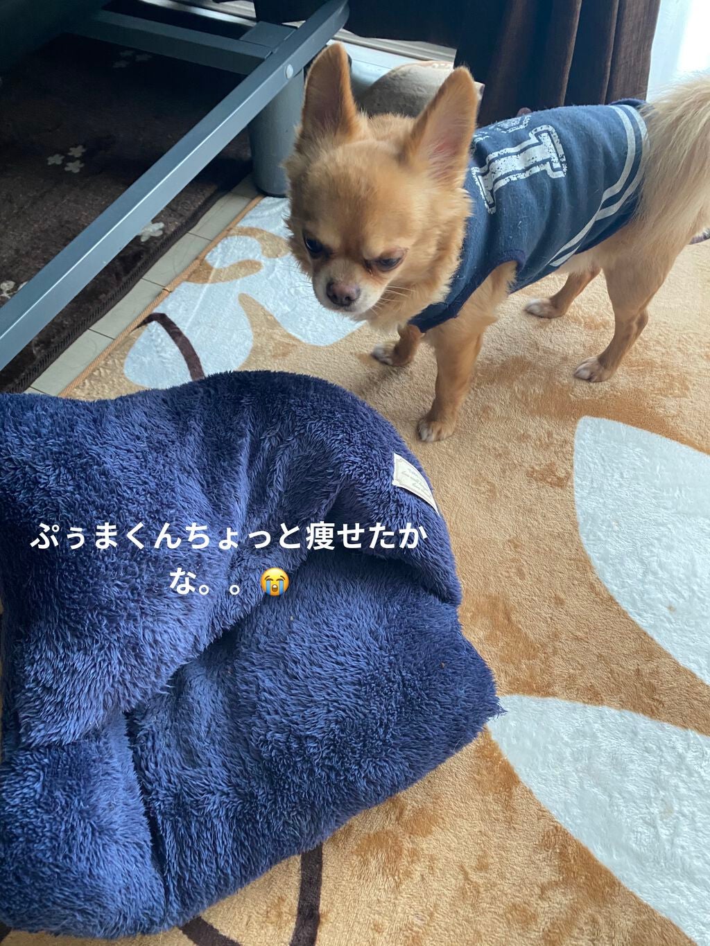 プレミアムルルルン 桜(さくらの香り)/ルルルン/シートマスク・パックを使ったクチコミ(8枚目)